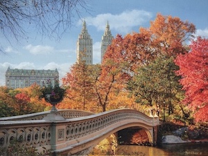 Autumn in Central Park