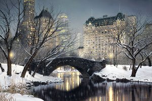 Twilight in Central Park